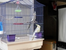 Бари - подводя итоги поездки