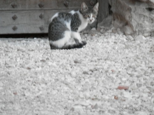 Бари - подводя итоги поездки