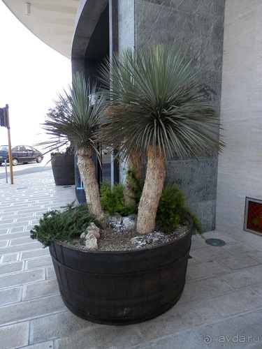 Бари - подводя итоги поездки