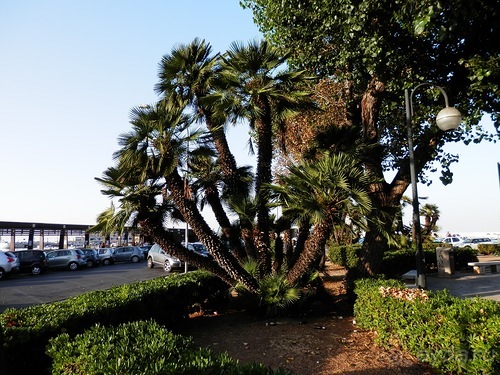 Бари - подводя итоги поездки