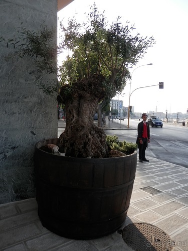 Бари - подводя итоги поездки