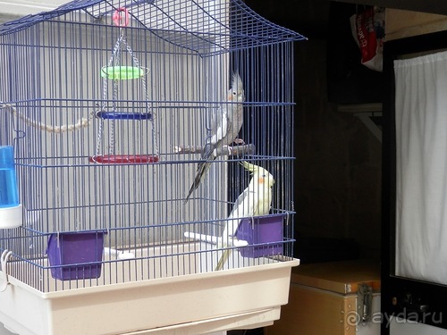 Бари - подводя итоги поездки