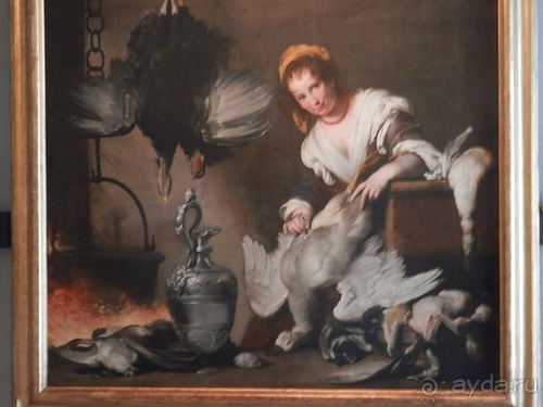 Альбом отзыва "Генуя - дворцы и панорама"