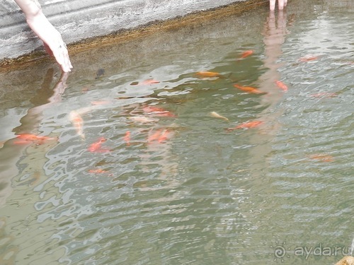 Генуя - дворцы и панорама