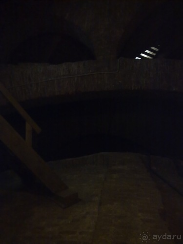 Вернулся из Петербурга