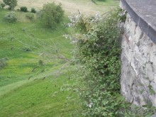 Из Брешиа в Бергамо