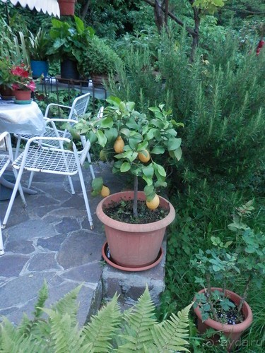 Из Брешиа в Бергамо