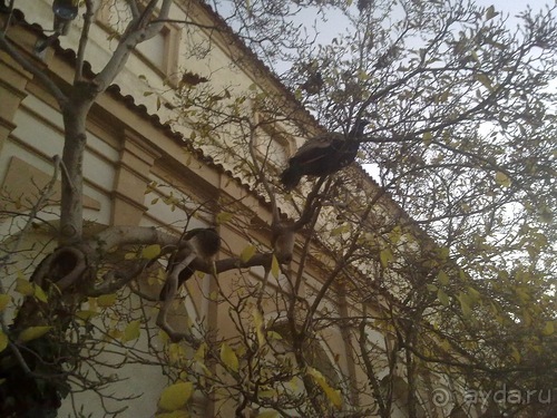 Прага, воскресенье