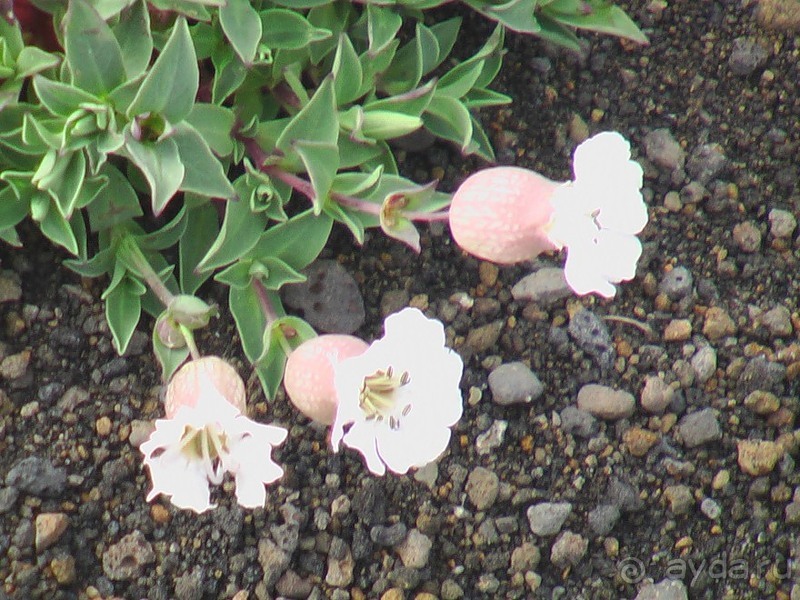 Исландия, день седьмой