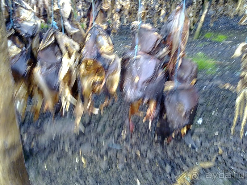 Исландия, день седьмой