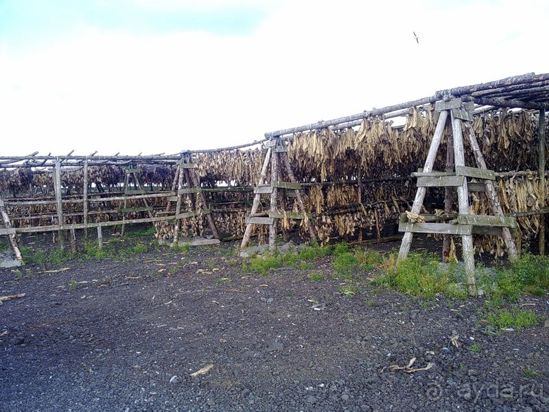 Исландия, день седьмой