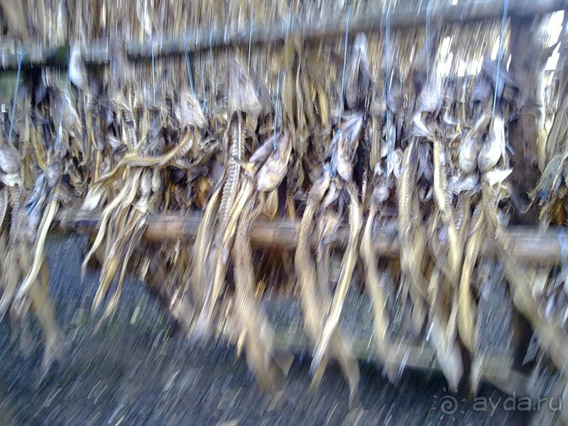 Исландия, день седьмой