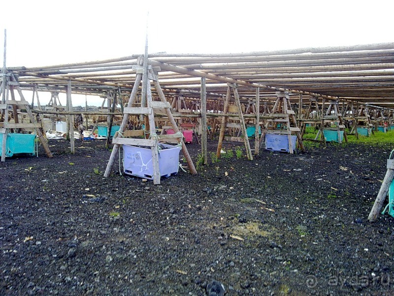 Исландия, день седьмой