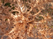 В Дубровник на выходные с хвостиком