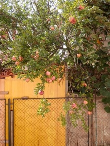 В Дубровник на выходные с хвостиком