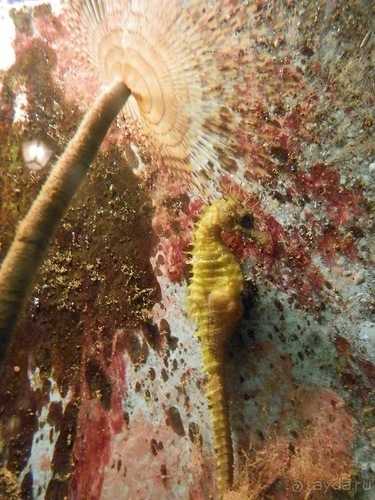 В Дубровник на выходные с хвостиком