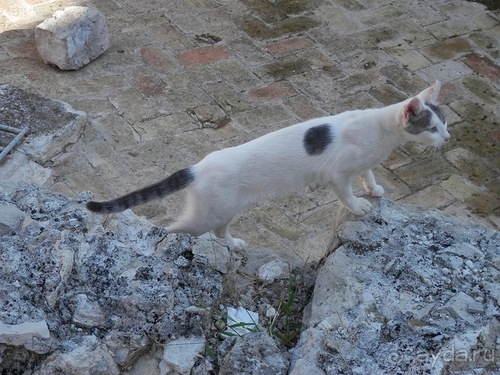 В Дубровник на выходные с хвостиком