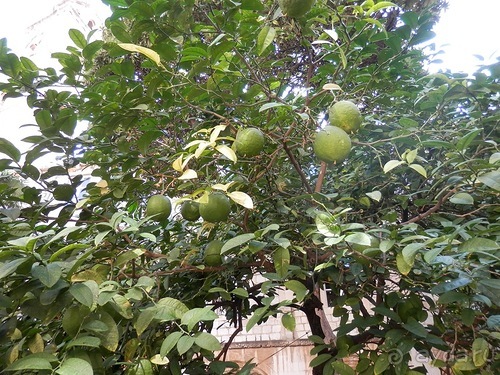 В Дубровник на выходные с хвостиком
