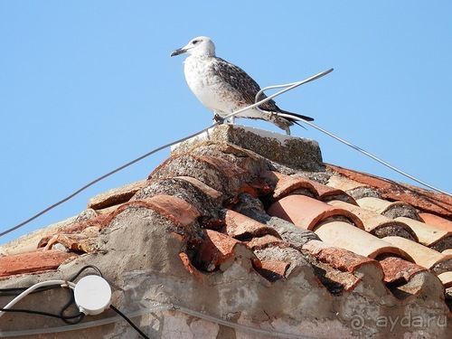 В Дубровник на выходные с хвостиком