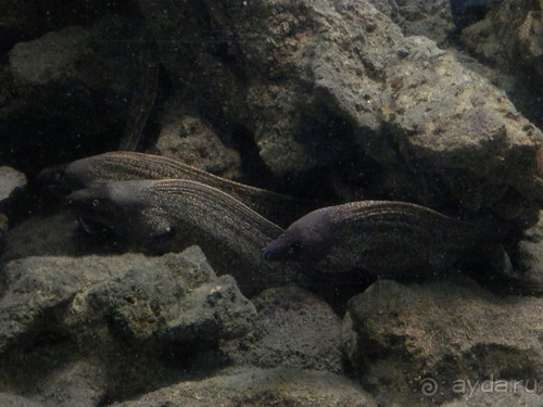 В Дубровник на выходные с хвостиком