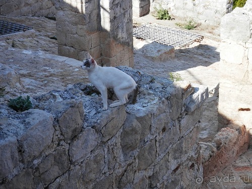 В Дубровник на выходные с хвостиком