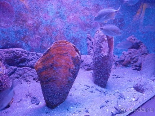 В Дубровник на выходные с хвостиком