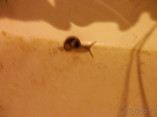 В Дубровник на выходные с хвостиком