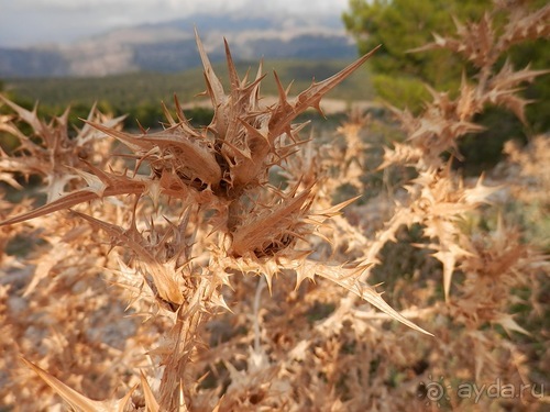 В Дубровник на выходные с хвостиком