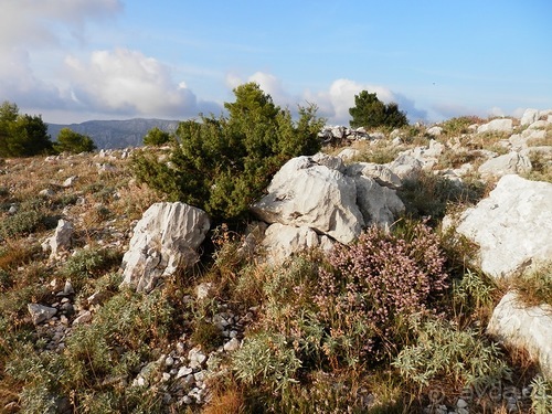 В Дубровник на выходные с хвостиком