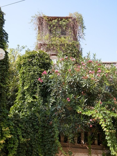 В Дубровник на выходные с хвостиком