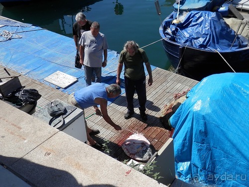 Генуя - морской музей и Галеон