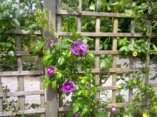 Вернулся из Бельгии. Намюр и немного Брюсселя