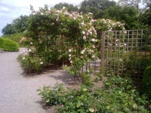 Вернулся из Бельгии. Намюр и немного Брюсселя