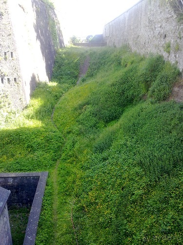 Вернулся из Бельгии. Намюр и немного Брюсселя