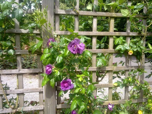 Вернулся из Бельгии. Намюр и немного Брюсселя