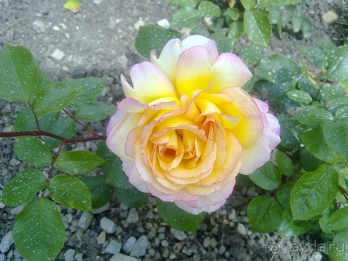 Вернулся из Бельгии. Намюр и немного Брюсселя