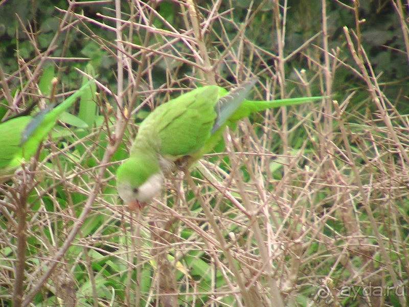 Барселона - парк Гуэль и еще немного