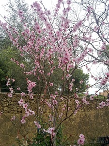 Барселона - парк Гуэль и еще немного