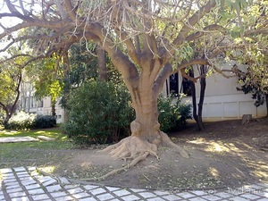 Барселона - парк Гуэль и еще немного