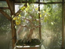 Зоопарк в Севилье