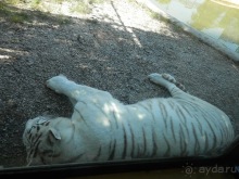 Зоопарк в Севилье