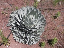 Зоопарк в Севилье