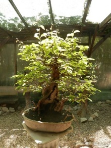 Зоопарк в Севилье