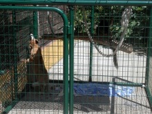 Зоопарк в Севилье