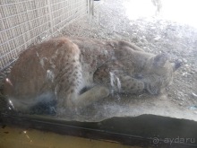 Зоопарк в Севилье