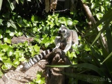Зоопарк в Севилье