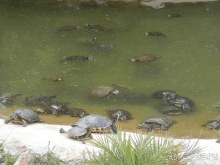 Зоопарк в Севилье