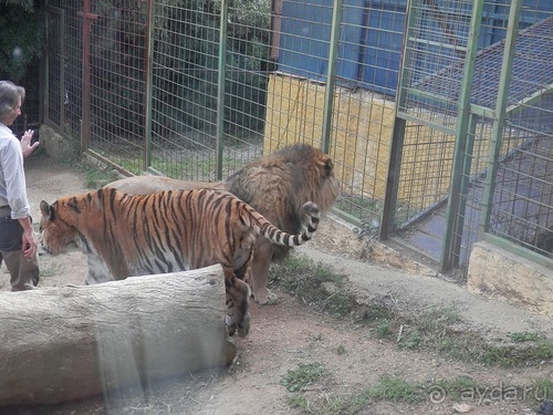 Зоопарк в Севилье