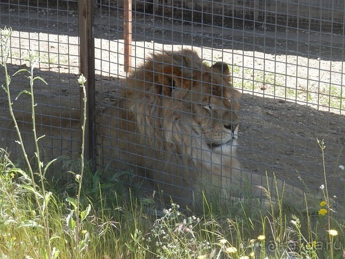 Зоопарк в Севилье