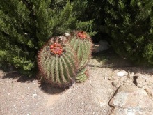 Зоопарк в Севилье